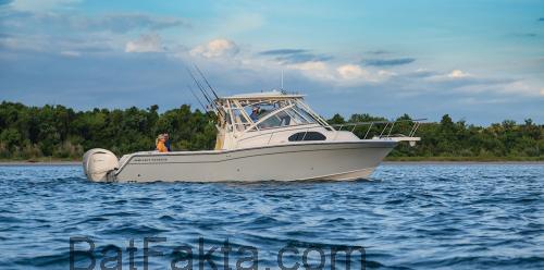 Grady White 300 tekniska specifikationer 